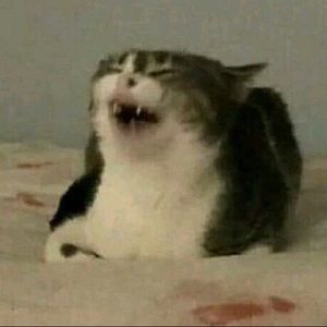 Meet your Posher, Makariy